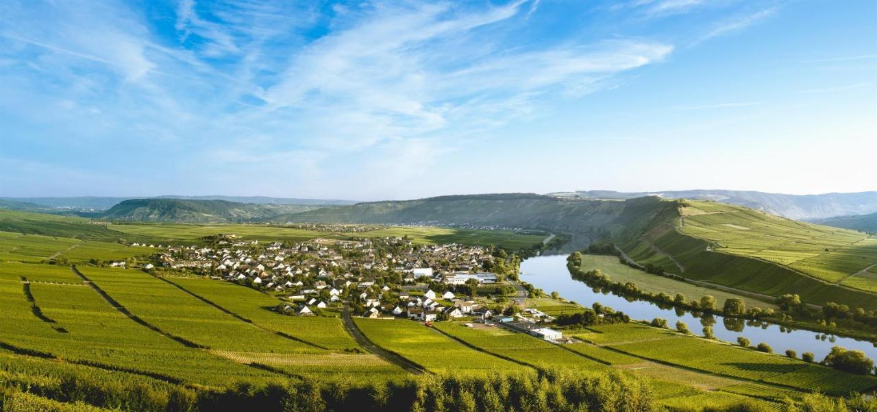 라이웬 Ferienweingut Ulrike Thul 아파트 외부 사진