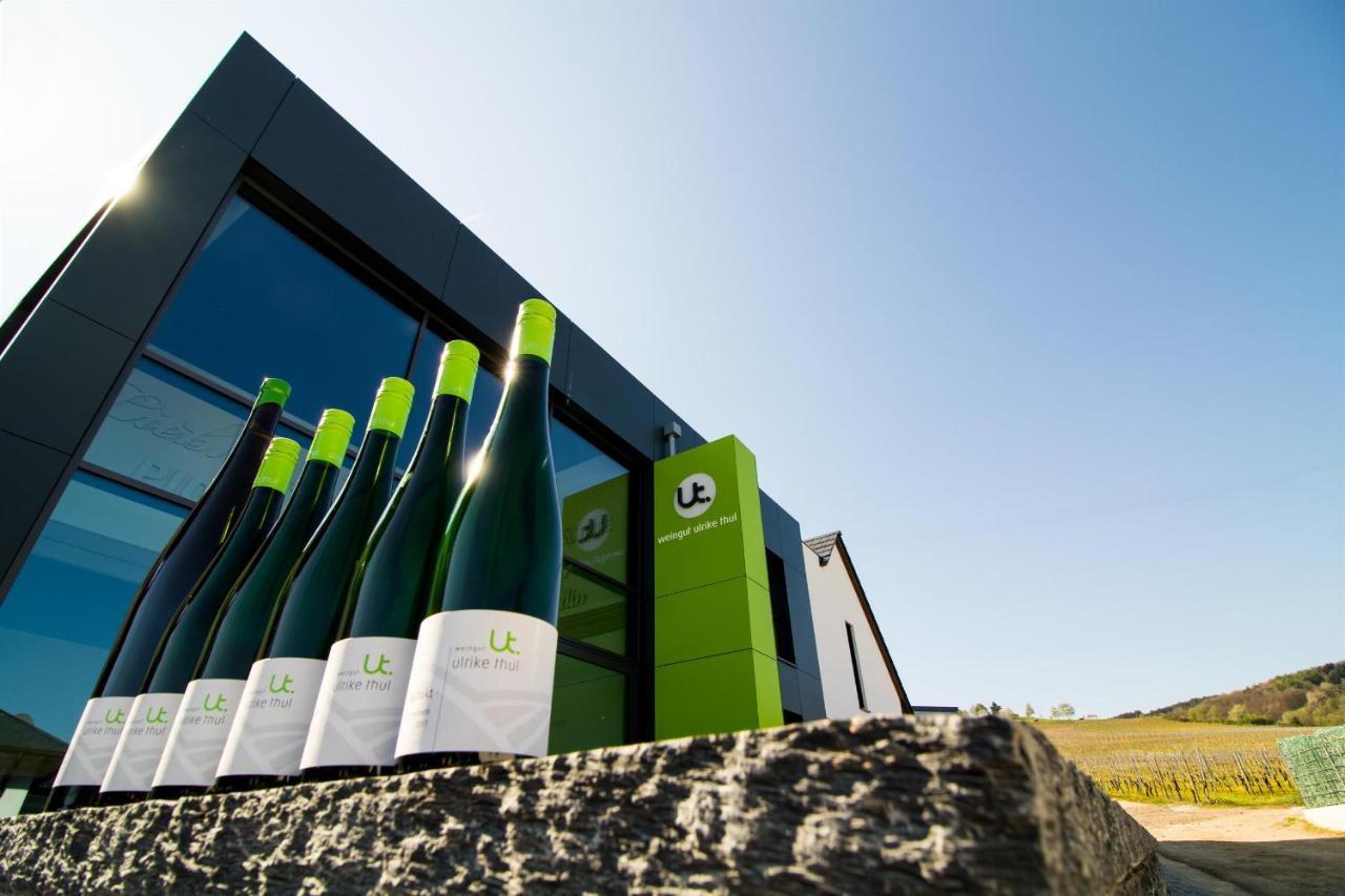 라이웬 Ferienweingut Ulrike Thul 아파트 외부 사진